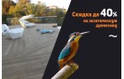 40% Скидка на экзотику