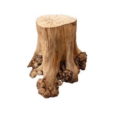 Пень граба (столярное изделие)