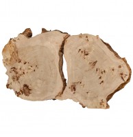 Столешница (торцевой набор) из слэба тополя 1700×900×90 мм