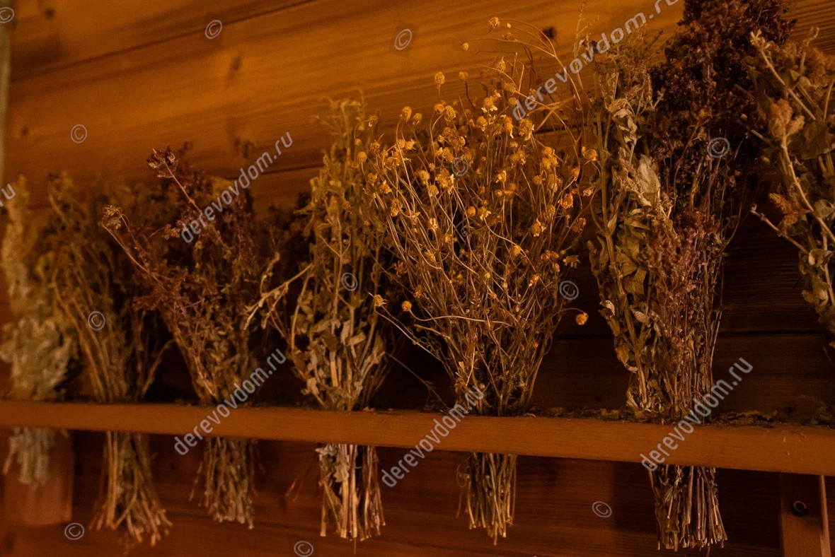 веники для бани